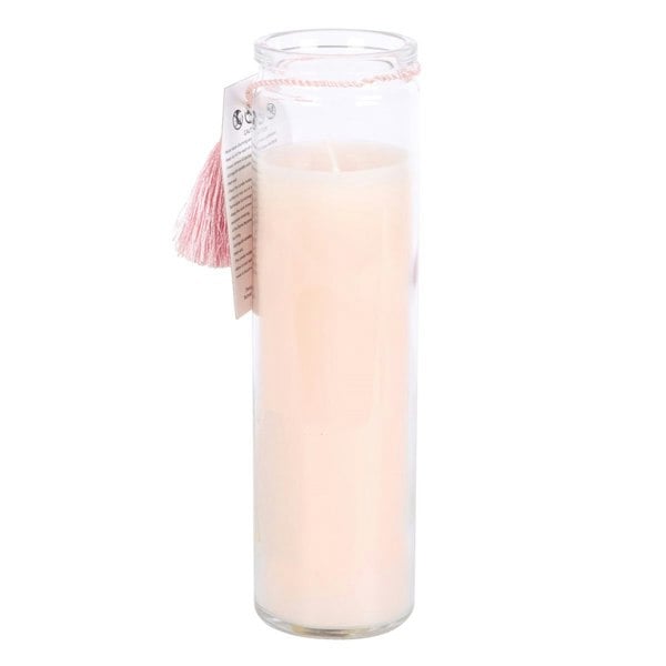 Something Different The Sun Grapefruit Tube Candle - Pink/White