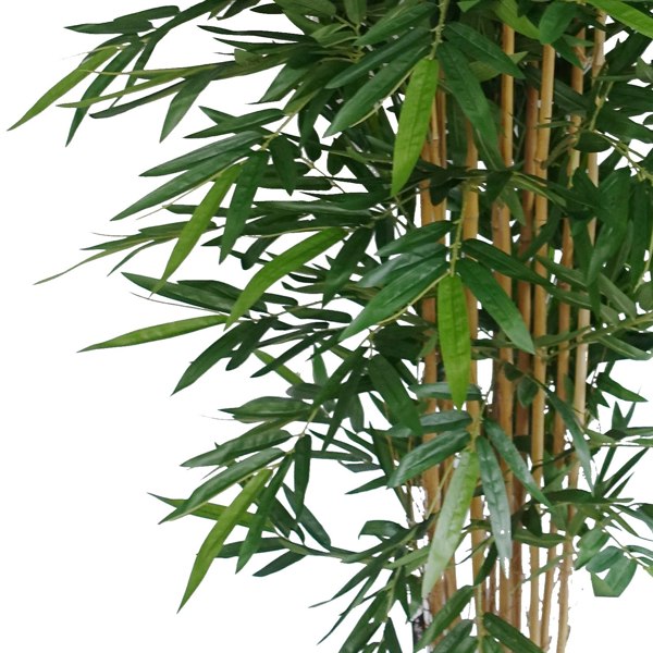 Botanik 180cm Premium UV Resistant Bamboo