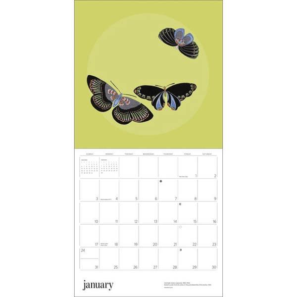 Butterflies Calendar 2027, Wall Calendars, Month To View, Animals, Gift