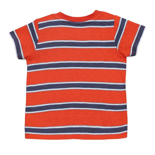 Mini Cuddles Baby Boys 3pk Printed & Striped T-Shirts, Multicolour