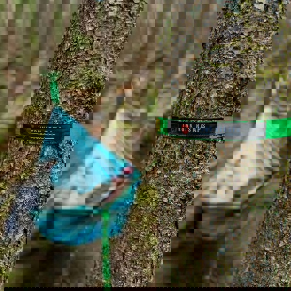 Trunk Straps - Hammock Suspension Straps TS-LS-08