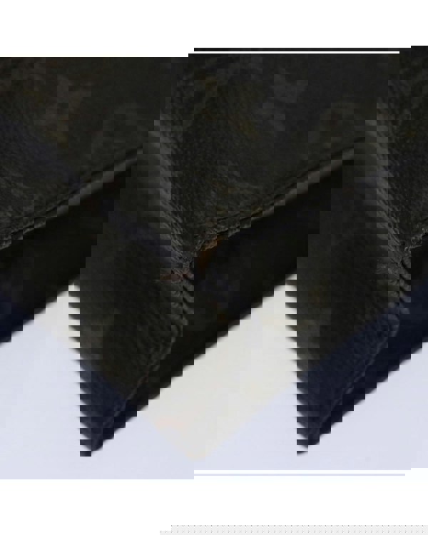 168286665.jpg