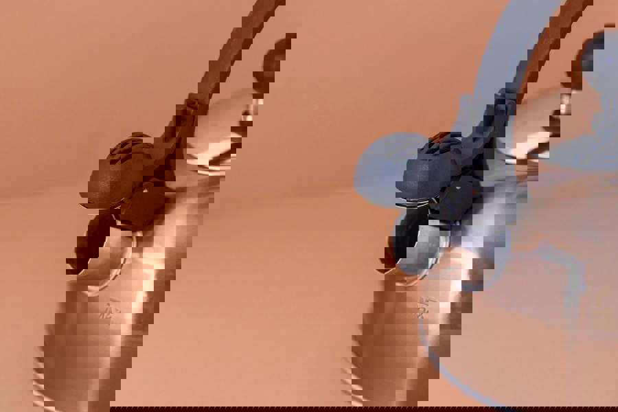 La Cafetière Induction-Safe Stainless Steel Whistling Kettle