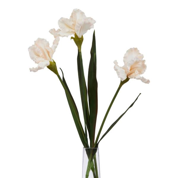 Wyld Haus Set of 3 Artificial Flowers Pale Apricot Fringed Iris Stems