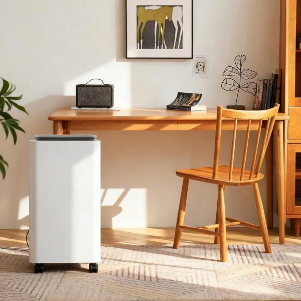 G-Maxx Portable Dehumidifier with Removable Water Tank