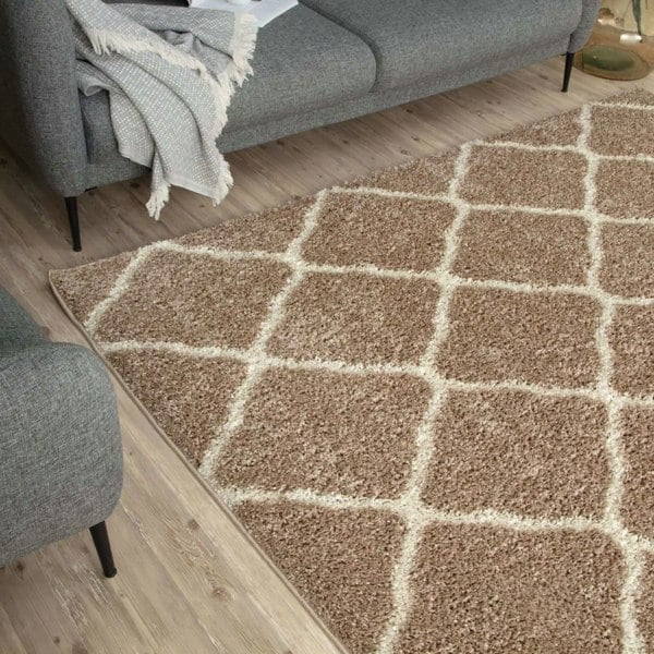 Moroccan Design Thick Shaggy Area Rugs Beige
