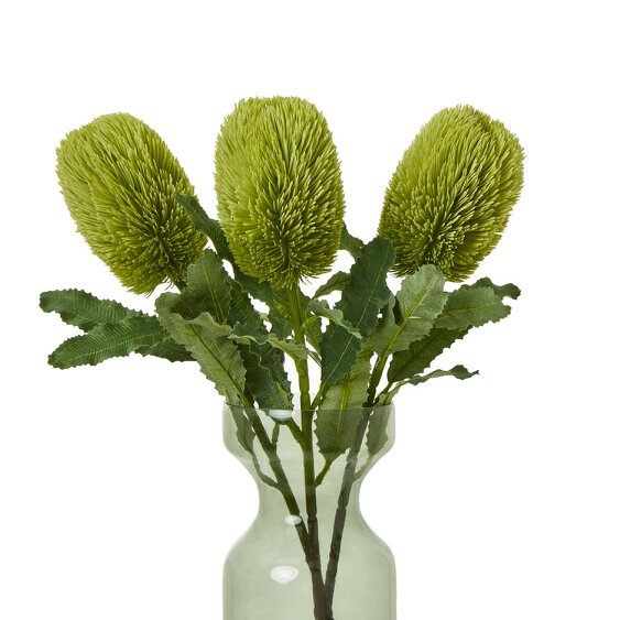 Wyld Haus Set of 3 Artificial Flowers Large Green Banksia Serrata Stems
