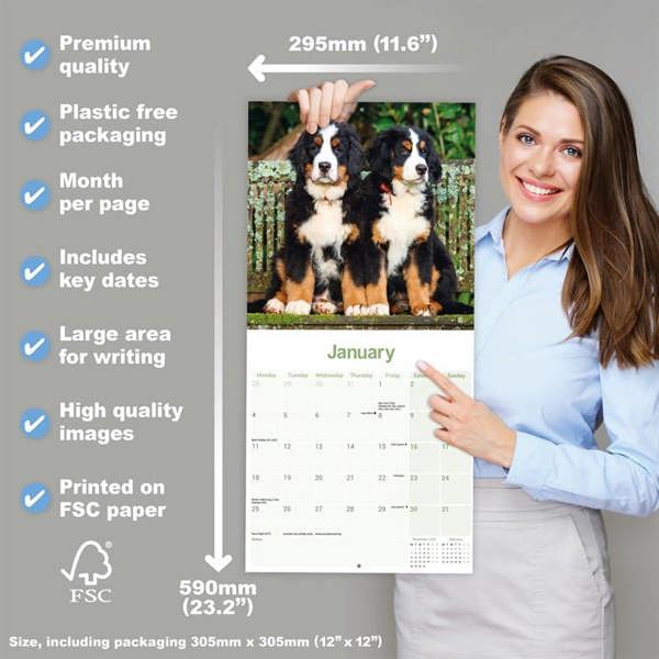 Bernese Mountain Dog Calendar 2027, Wall Calendars, Month To View, Dogs, Gift