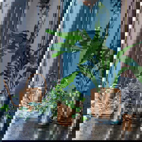 #color_copper