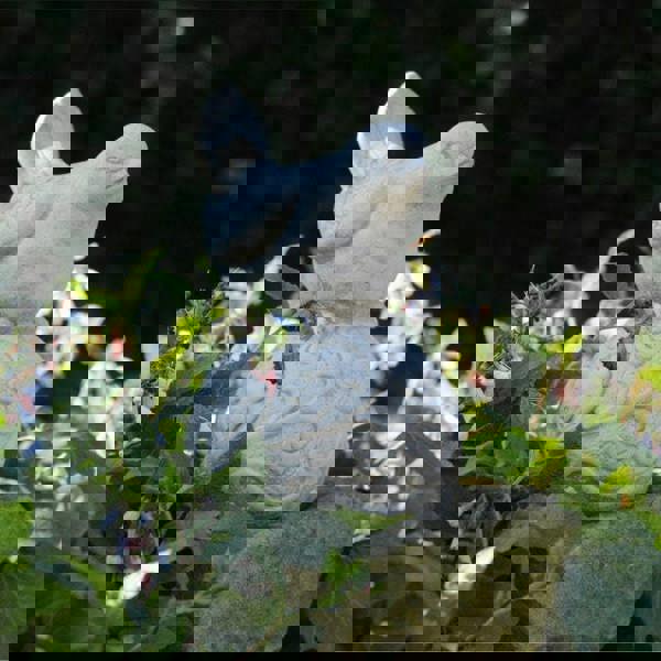 Little Bird on Ball Stone Garden ornament