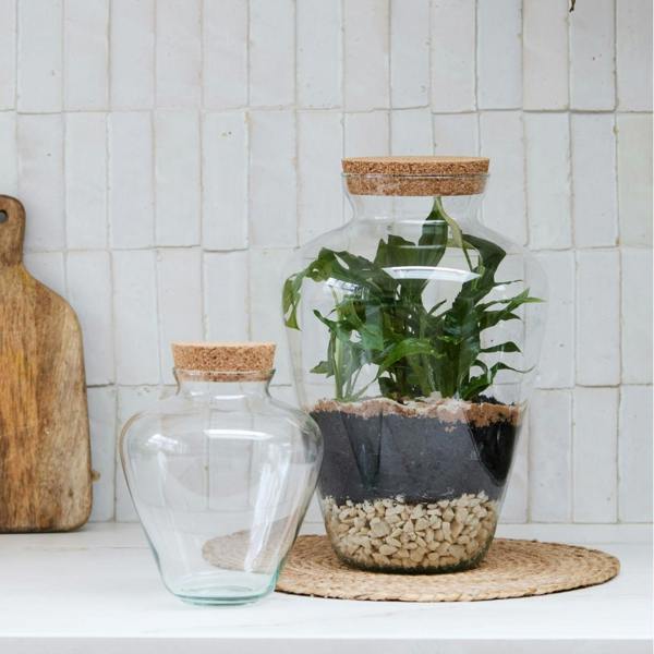 Ivyline Teardrop Glass Lid Terrarium