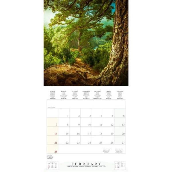 Deep Forest Calendar 2027, Wall Calendars, Month To View, Natural World, Gift