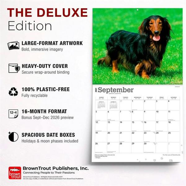For The Love Of Dachshunds Deluxe Calendar 2027, Deluxe Calendars, Month To View, Dogs, Gift