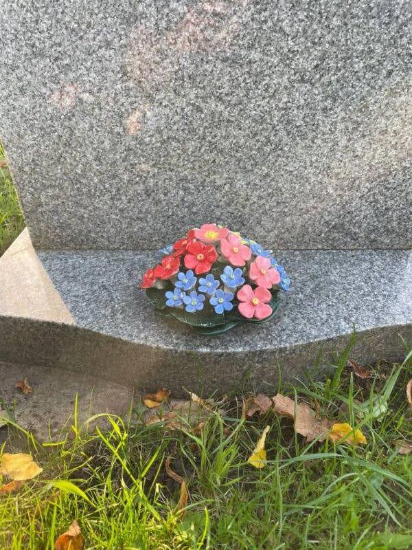 Memorials Direct Polyanthus x Forget Me Not Mix