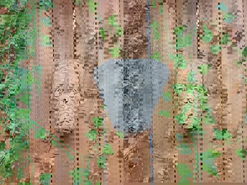 Boxer Dog Head Stone Wall Plaque