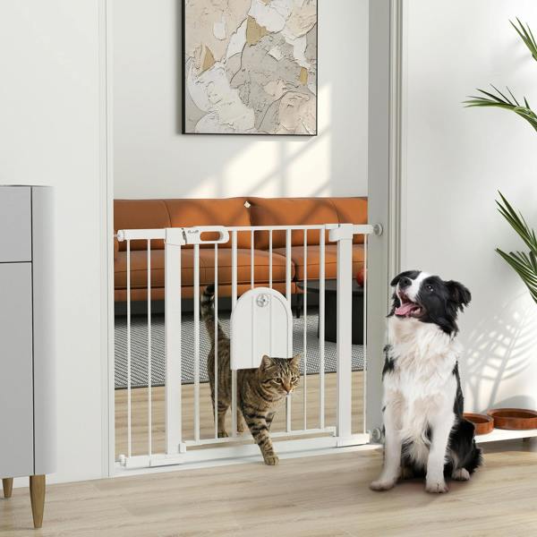 Pet Gate