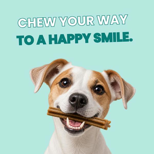 Favour Dental Sticks Dog Treats