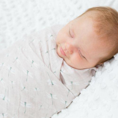 Lulujo - Cotton Swaddle - Vintage Floral & Dragonfly - 2 Pack