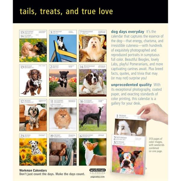 Dog Gallery Desk Calendar 2027, Desk Calendars, Day To View, Dogs, Gift