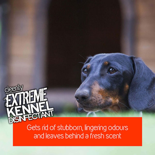 Cleenly Extreme Kennel Disinfectant, Deodoriser, and Cleaner (5L) - Lavender Fragrance