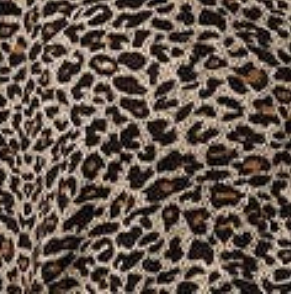 Izabel London Animal Print Zip Front Long Sleeve Top