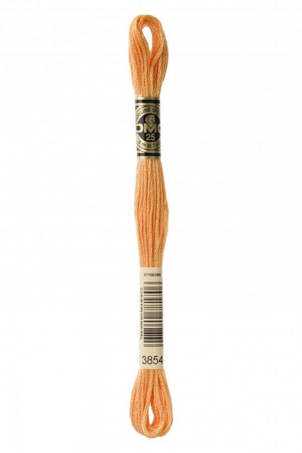3854 | Orange