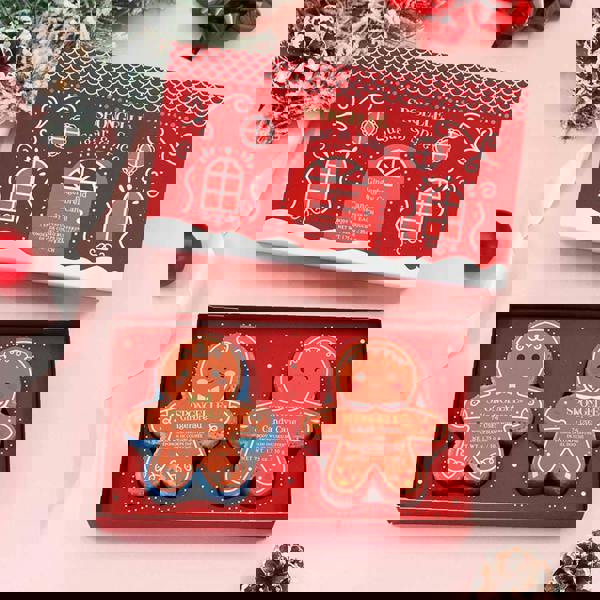 Spongellé Sugar & Spice Body Wash Buffer 1 ea