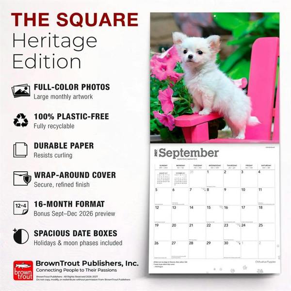 Chihuahua Puppies Calendar 2027, Wall Calendars, Month To View, Dogs, Gift