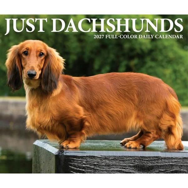 Just Dachshunds Desk Calendar 2027, Desk Calendars, Day To View, Dogs, Gift