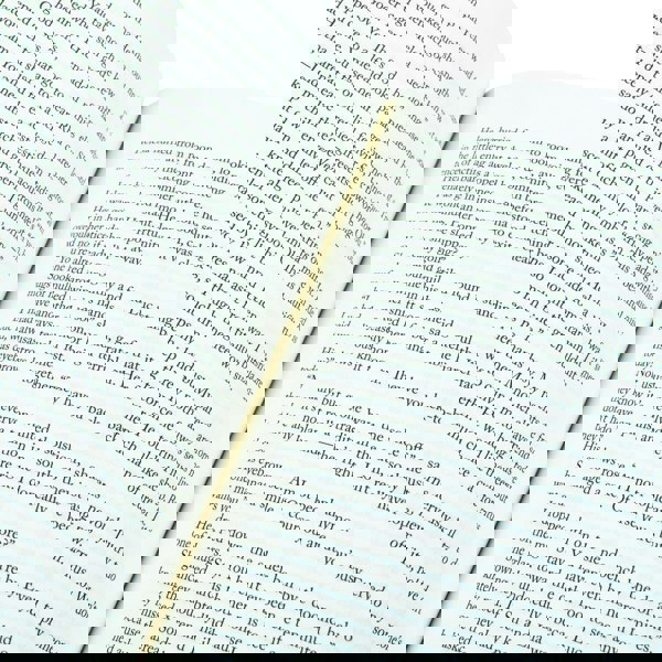 Alchemised by SenLinYu : The 2025 debut novel phenomenon everyone is talking about and no one can put down