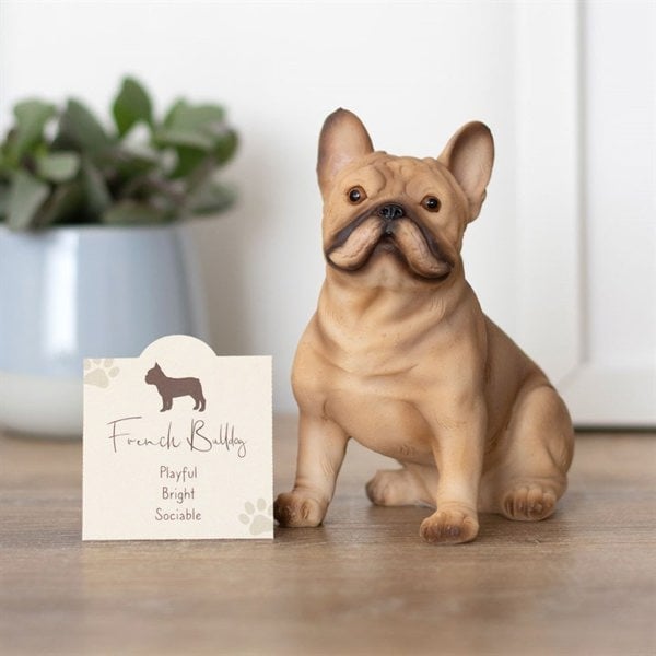 Serano French Bull Dog Ornament