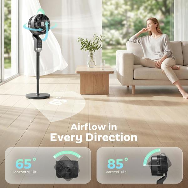 Air Circulator Fan