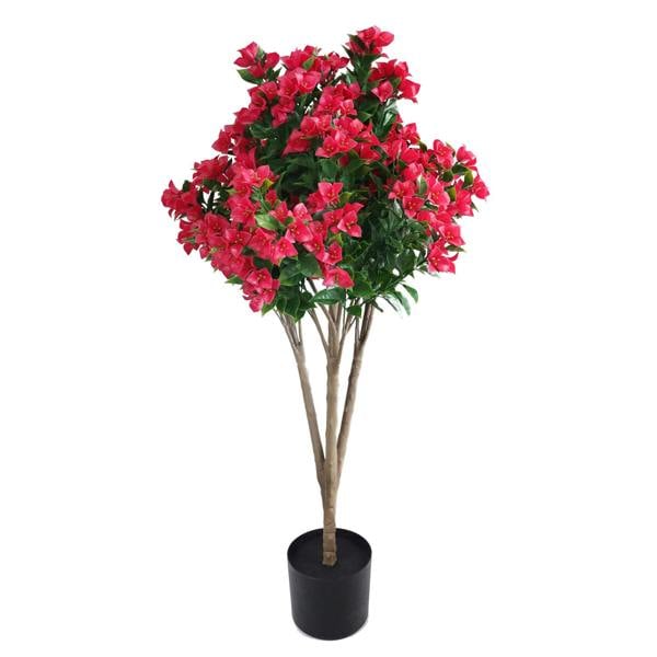 Bougainvillea Tree Fuchsia UV Protected - 120cm