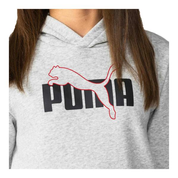 Puma Boys Brushed Fleece Hoodie - Grey - 