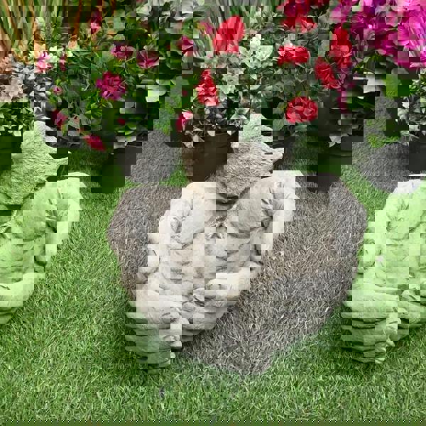 Bird in Hand Birdbath / Bird feeder