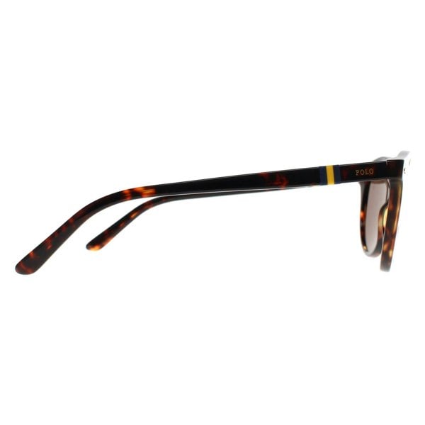 Polo Ralph Lauren Sunglasses PH4151 535173 Shiny New Jerry Tortoise Brown