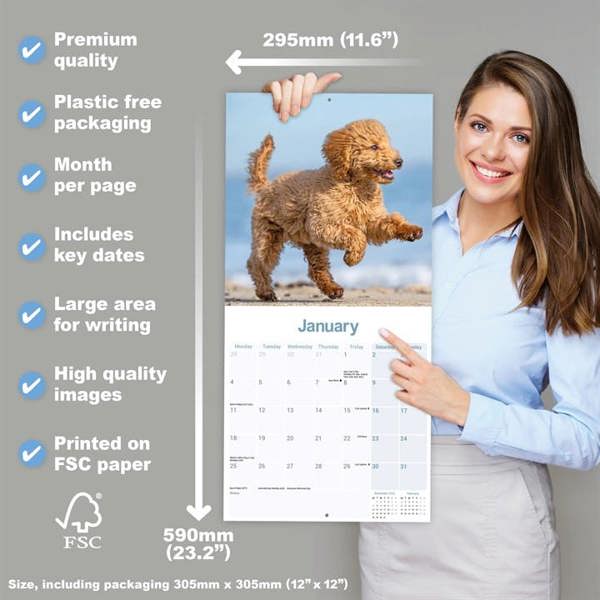 Poodle Calendar 2027, Wall Calendars, Month To View, Dogs, Gift