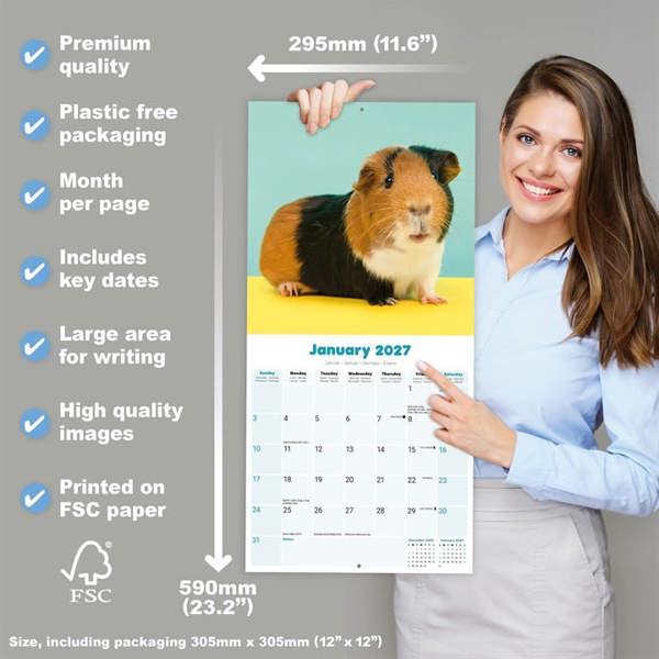 Guinea Pigs Calendar 2027, Wall Calendars, Month To View, Animals, Gift