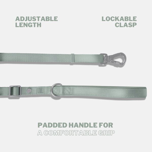 Barc London Pistachio Green Essential Adjustable Lead