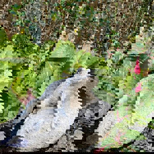 Frog On Rock Small Garden Ornament