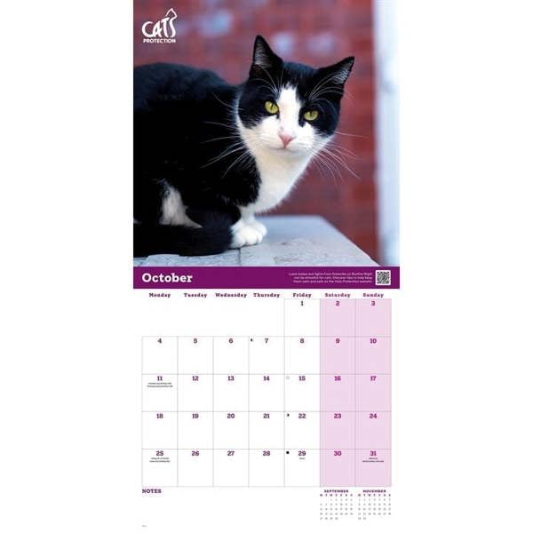 Cats Protection Calendar 2027, Wall Calendars, Month To View, Cats, Gift