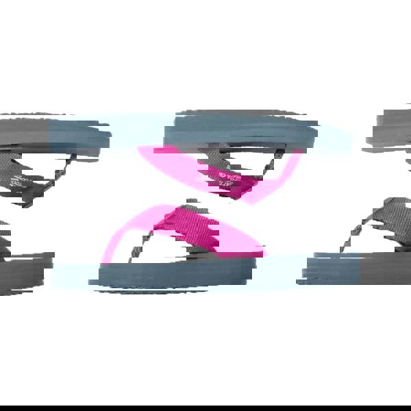 Regatta Womens/Ladies Catarina Flip Flops - Dark Storm/Pink - 