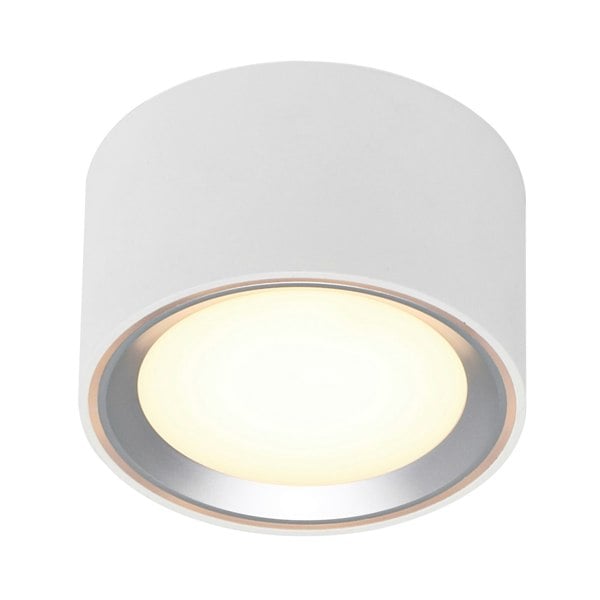 Nordlux Fallon | Surface downlight | White/Steel