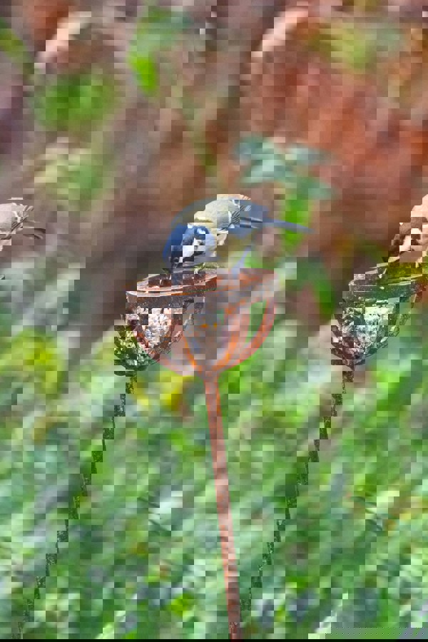 Savage Works Fat Ball Bird Feeder Stake