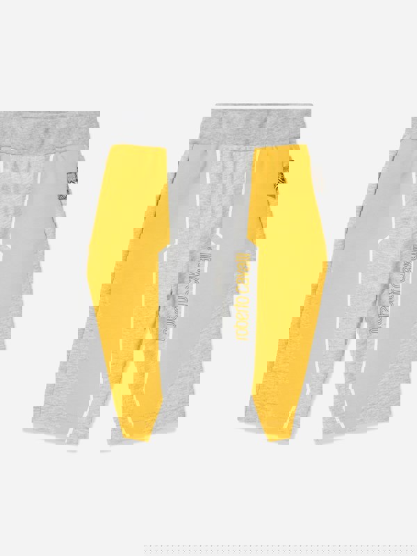 Roberto Cavalli Boys Logo Shorts in Grey