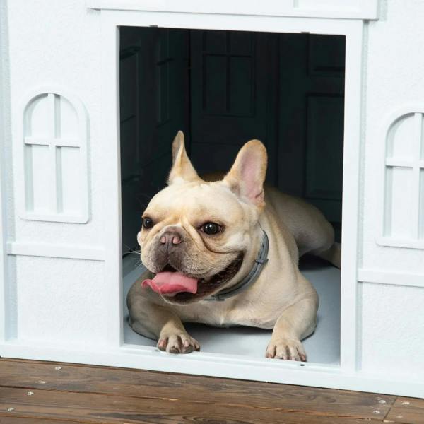 White plastic dog house with blue roof, open doorway with French bulldog inside