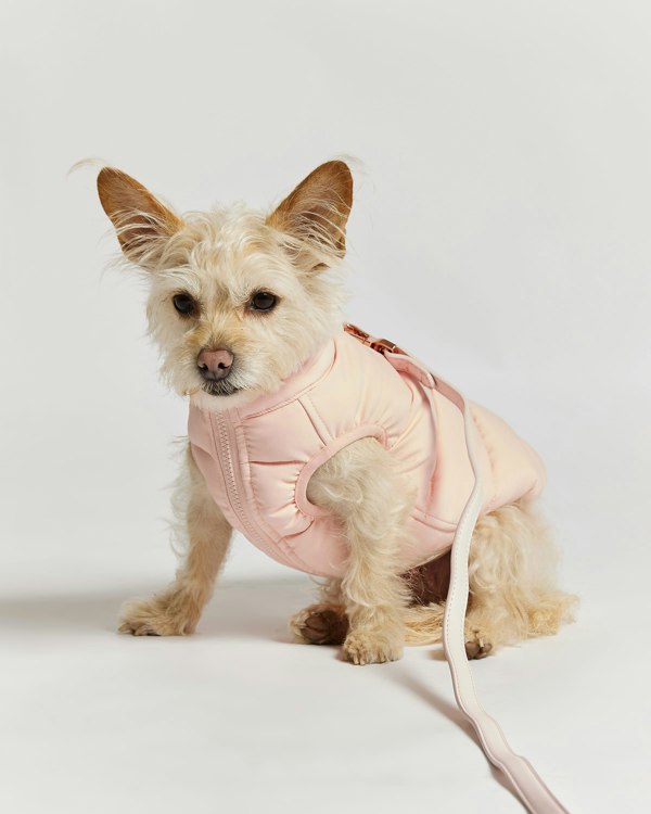 Barc London Reversible Dog Puffer Jacket - Pink & Lilac