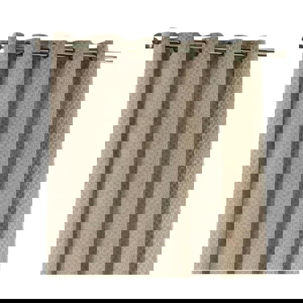 Furn Neptune Velvet Eyelet Curtains - Champagne