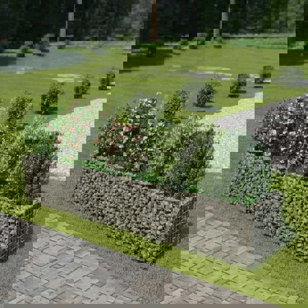 Berkfield Gabion Raised Bed Galvanised Steel 270x50x50 cm