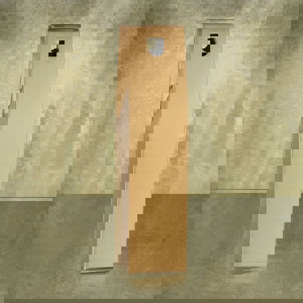 Virginia Hayward Bottle of Bubbly Gift